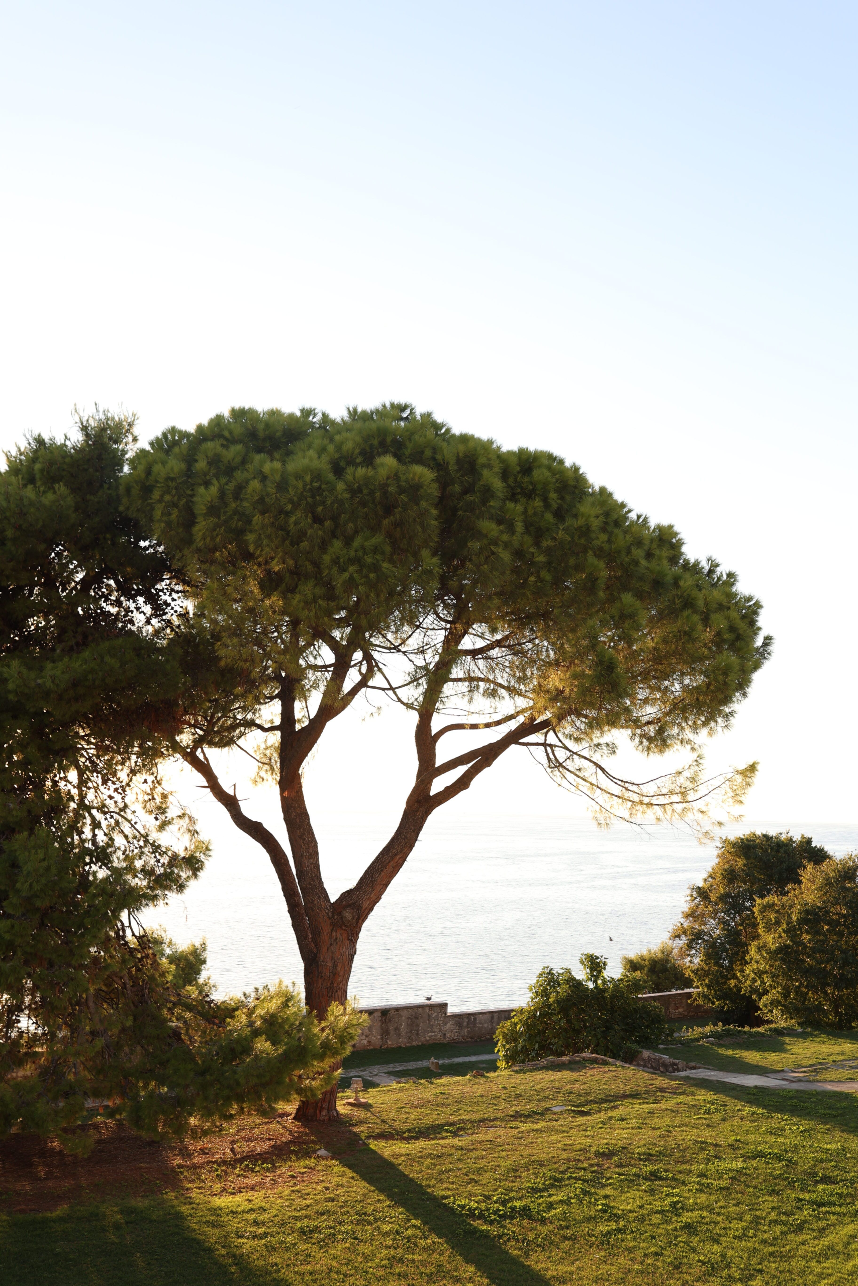 Gazeau Paysagiste le plan de la tour et golfe de Saint Tropez