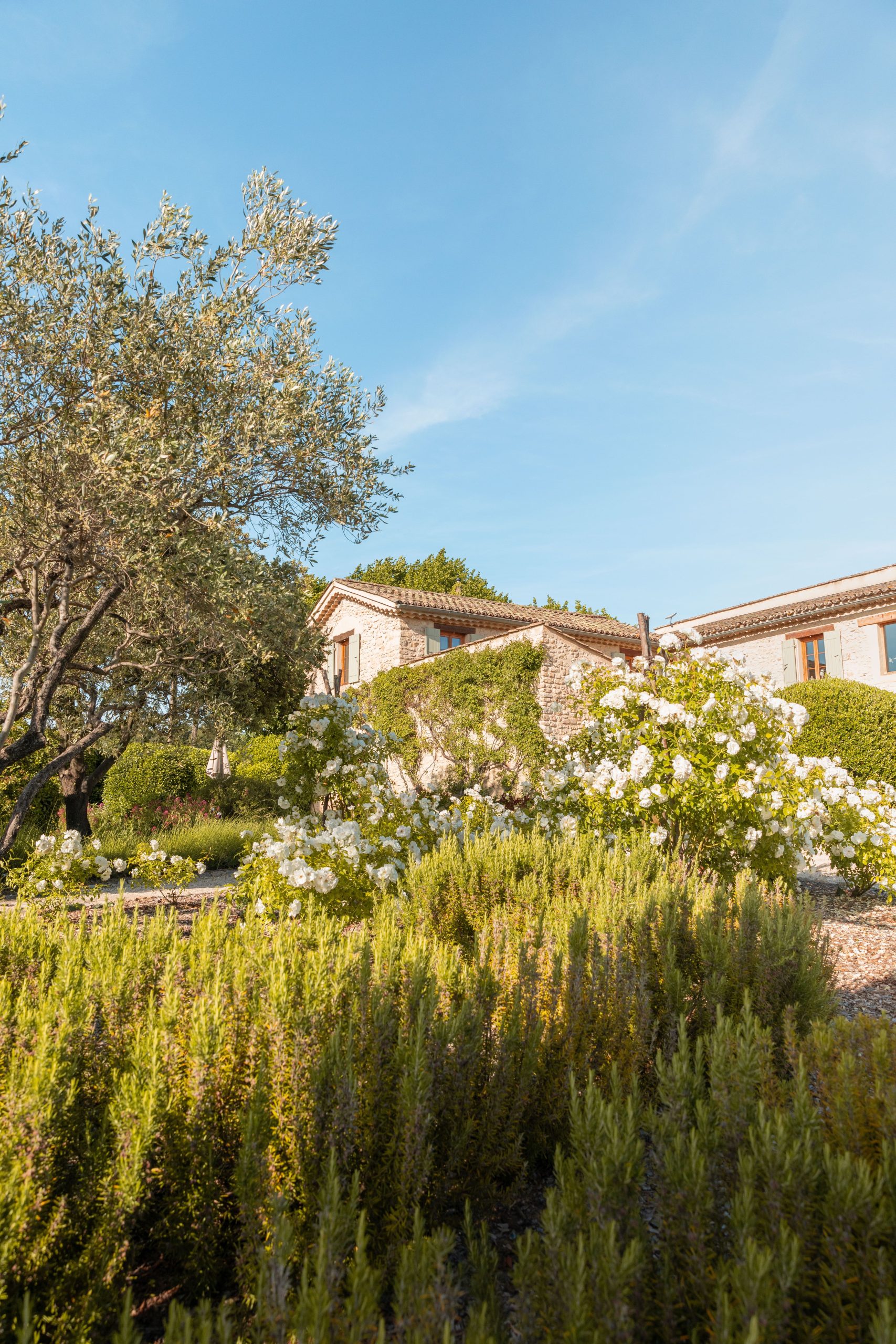Paysagiste Saint tropez